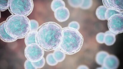 Review bewijst verband orale microbioom en kanker