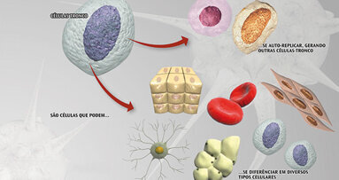 Cellule staminali in odontoiatria implantare