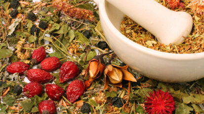 Fortbildung zur ganzheitlichen Zahnheilkunde