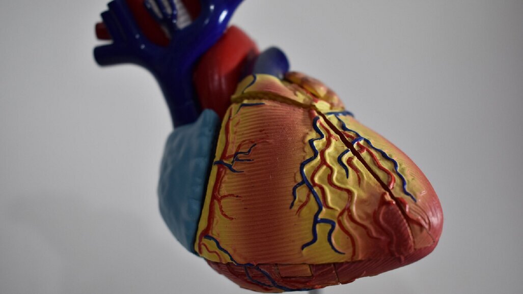 Choroby przyzębia mogą zwiększać ryzyko chorób sercowo-naczyniowych – zadbaj o zdrowie jamy ustnej!