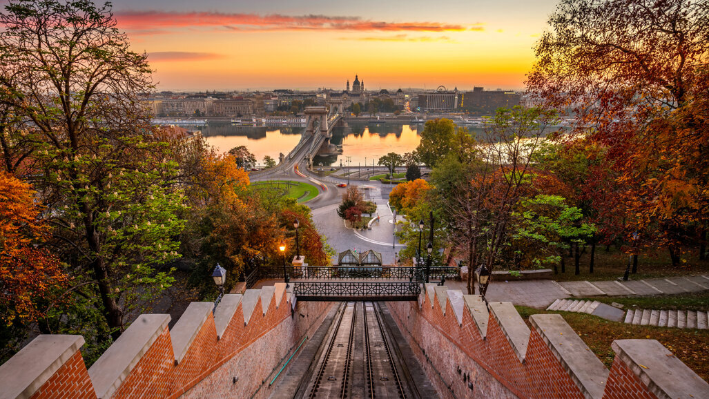 DW – Dental World 2019