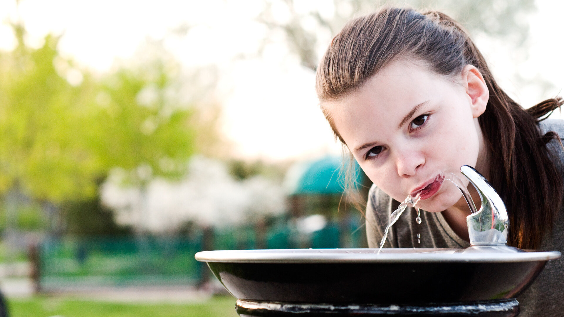 Divisive review reignites debate on fluoridation and children’s IQ