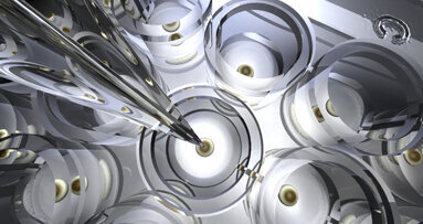 Melanom-förderndes Gen entdeckt