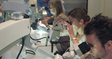 Wurzelkanalrevision in Theorie und Praxis