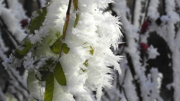 Czy mróz szkodzi zębom?