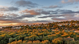 California Society of Periodontists Annual Meeting 2020