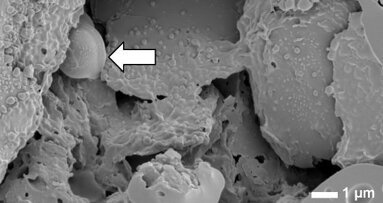 Mascar chiclete contribui para a manutenção da saúde bucal