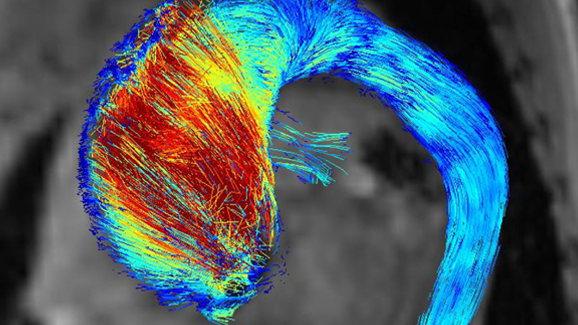 Kompetenzzentrum für bildgebende Verfahren in der Biomedizin eröffnet