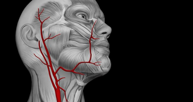 La salute delle gengive influenza lo stato delle arterie