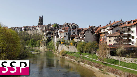 Jahrestagung der SSP in Freiburg