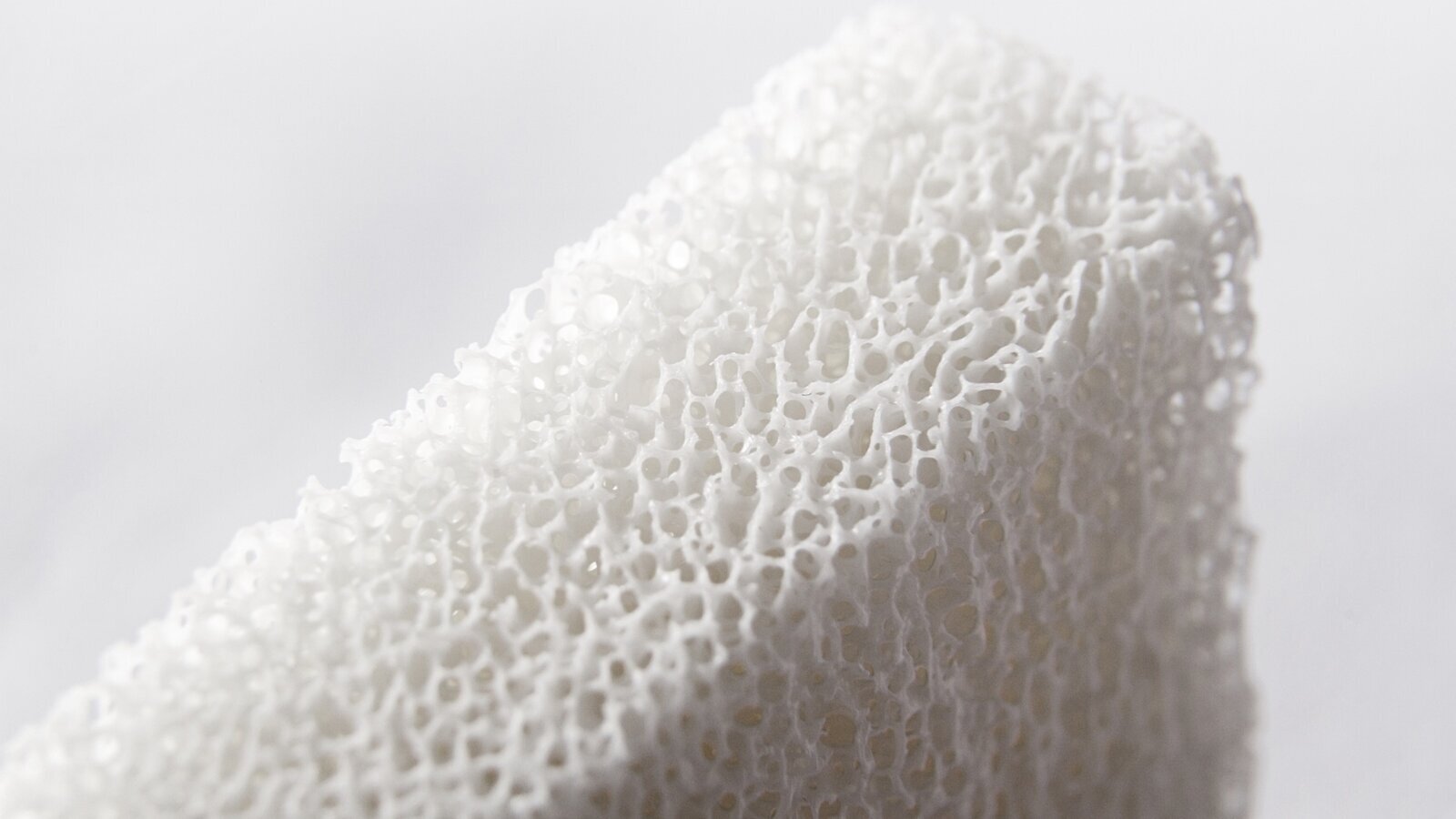 Una nueva generación de injertos óseos naturales