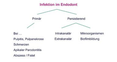 Infektion des Endodonts
