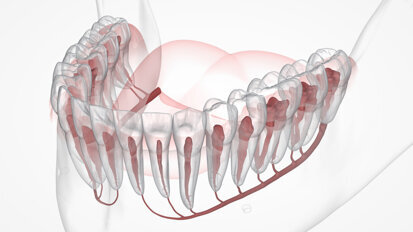 Envista’s newest FDA approval complements other AI-powered features in DTX Studio Clinic