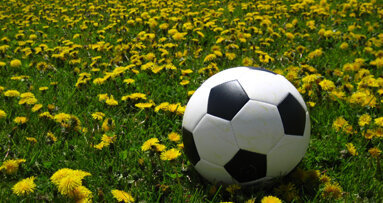 CDA offers tips to avoid dental emergencies