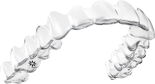 The Invisalign system