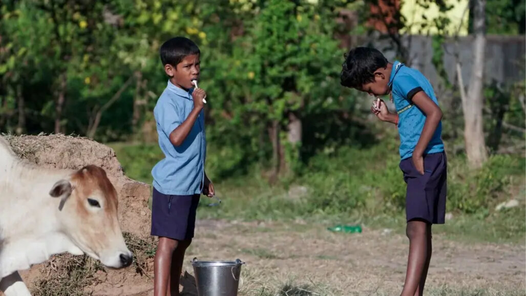 Svetovna zdravstvena organizacija vključuje povratne informacije FDI v revidiran akcijski načrt