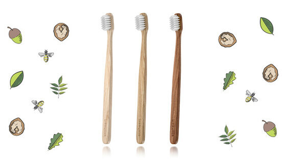 Prvá výrobňa drevených zubných kefiek v EURÓPE