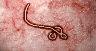 Indications des autorités sanitaires face au virus Ebola