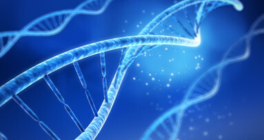 Karies: Wissenschaftler entschlüsseln weitere Bakterienart