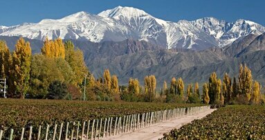 Docente en innovación