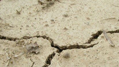 Dentisti bavaresi donano 11.000 euro per i terremotati in Italia