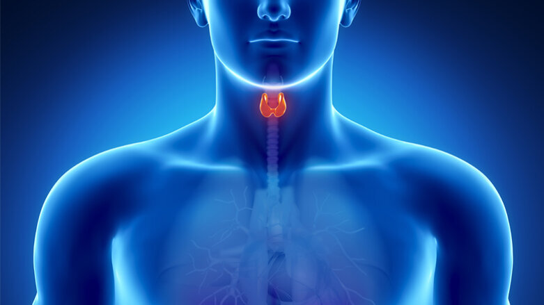 Kehlkopfkrebs: S3-Leitlinie legt Grundstein für bessere Behandlung