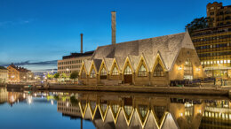 TandhygienistDagar 2020