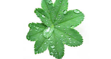 L’oral care tra prevenzione e cosmesi