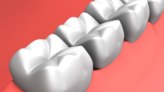 Erfolgreich: 3-D-gedrucktes Gerüst zur Weichgeweberegeneration