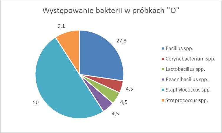 Wykres 1a_Posiew wykonany po zmieleniu zębów zatrzymanych. Widoczna przewaga bakterii z grupy paciorkowców. Na uwagę zasługuję także wysoki odsetek 9,1% gronkowców.
