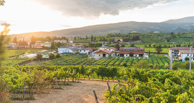 Save the Date: Giornate Veronesi 2025 am 27. und 28. Juni in Valpolicella/Italien