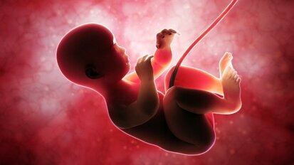 Pesquisa encontra acelerador de crescimento do esmalte em humanos