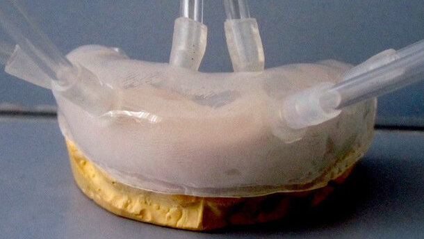 El aclaramiento dental biológico