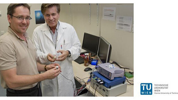 Elektrosignale gegen den Schmerz