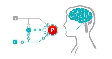 Stop hurting your patients! Deliver the “WOW experience” and watch your practice grow