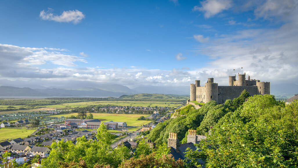 British Orthodontic Conference 2025