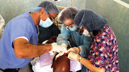 AAIP and Linkow Implant Institute offer implant course in Jamaica AAIP and Linkow Implant Institute offer implant course in Jamaica
