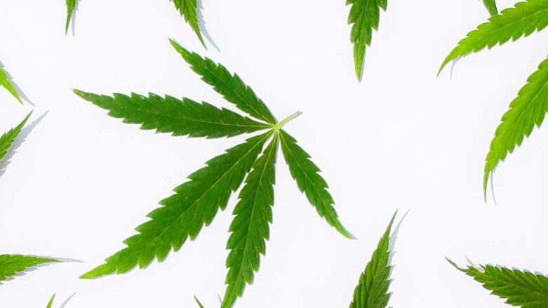 Canadian dental hygienists start the cannabis conversation