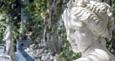 Doctor: ¿es solo por estética o por función?