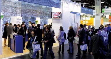 Extraktionsalveolen im Fokus