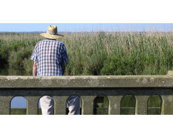 Retraite ou pas retraite ?