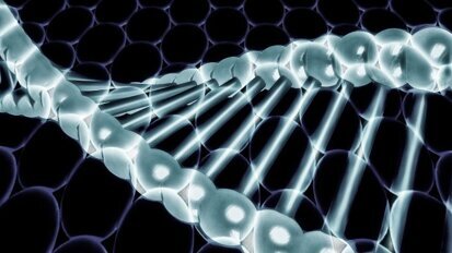 Human genome editing for public health - WHO recommendations