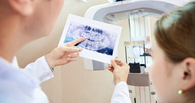 Dutch study finds strong support for AI and calls for structured education