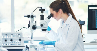 Mikrobenfund im Wurzelkanal: Freiburger Forschende entdecken Dentiradicibacter hellwigii