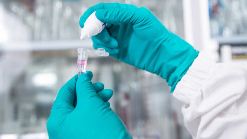 Pesquisadores detectam contaminação por chumbo em dentes decíduos de crianças