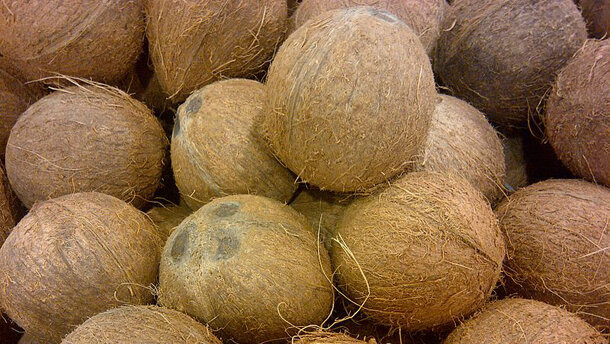 Kokosnootolie tegen tandbederf