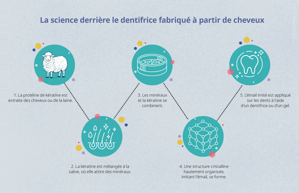 Le processus par lequel la kératine issue de la laine et des cheveux est transformée en une substance semblable à l’émail, pouvant être intégrée dans un dentifrice ou un gel.