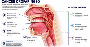 El dentista es clave en el diagnóstico y tratamiento del cáncer de cabeza y cuello