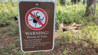 Alfa-galsyndroom: tekenallergie heeft verborgen risico’s voor mondgezondheid