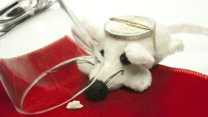 Suppression du programme MT'Dents en milieu scolaire